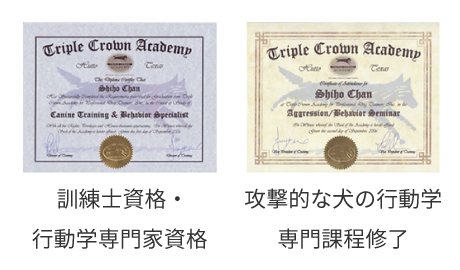 訓練士資格・行動学専門家資格/攻撃的な犬の行動学専門課程修了