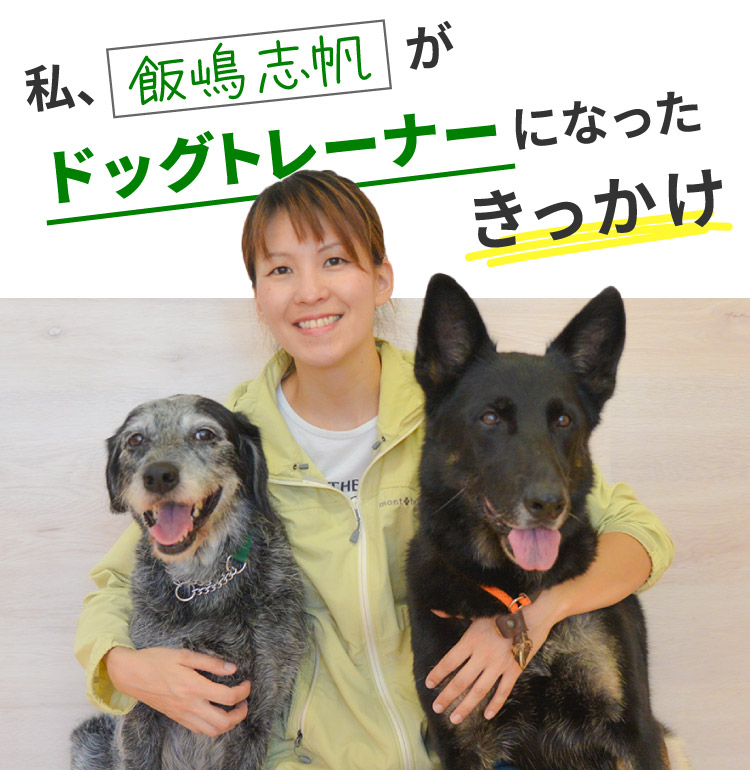 私、飯嶋志帆がドッグトレーナーになったきっかけ