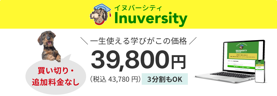 一生使える学びが39,800円（税込43,780円）！