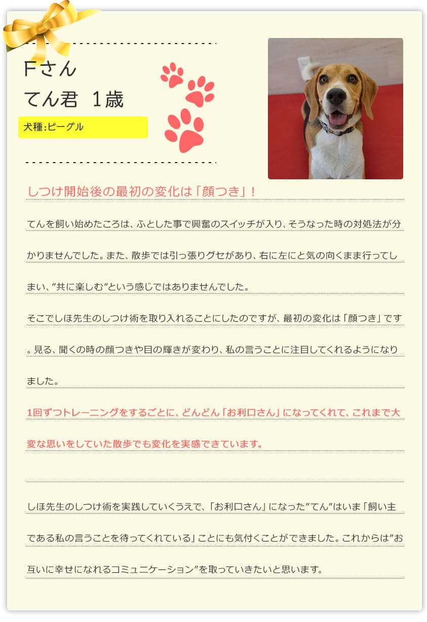 公式 しほ先生のイヌバーシティ Inuversity いぬ大学 公式 しほ先生のイヌバーシティ Inuversity いぬ大学